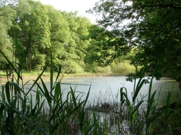 Ferienhaus Bindow Heidesee Exteriér fotografie